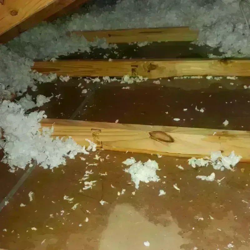 Attic Water Damage in Coventry, RI